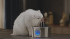 Pawksy™ 3.2L Stainless Wireless Smart Cat Water Fountain