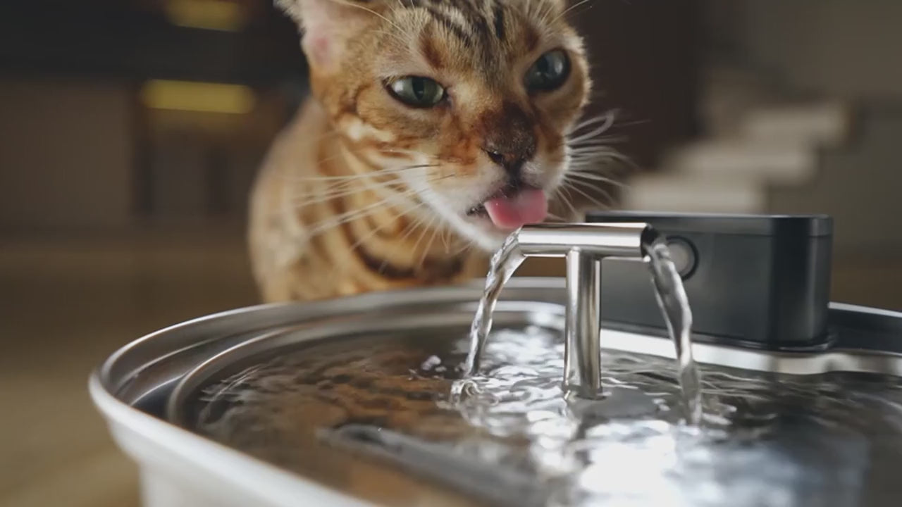 Pawksy™ 3.2L Stainless Wireless Smart Cat Water Fountain